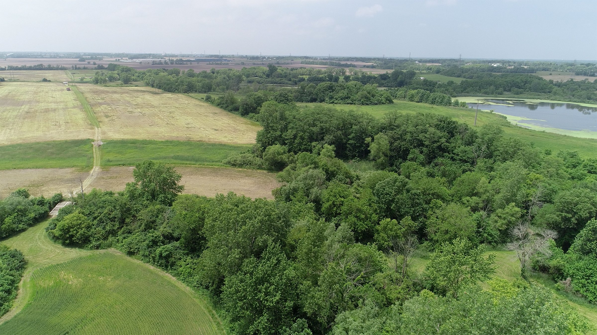 Lake County, Indiana farmland - LAND AUCTION - 147+/- ACRES OFFERED IN 3 TRACTS IN LAKE COUNTY, INDIANA